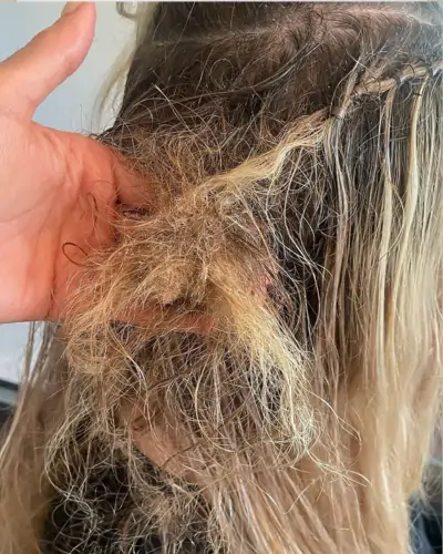 Signs Your Hair Is Damaged After Extensions