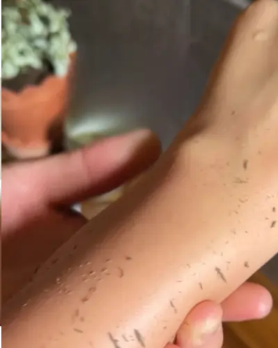 What Happens During a Moroccan Bath